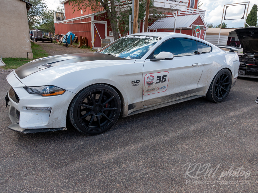 A white 5.0 Mustang performance car with a black stripe on the hood is parked in the street during a car show at The Stable Performance Cars during Octane Fest.