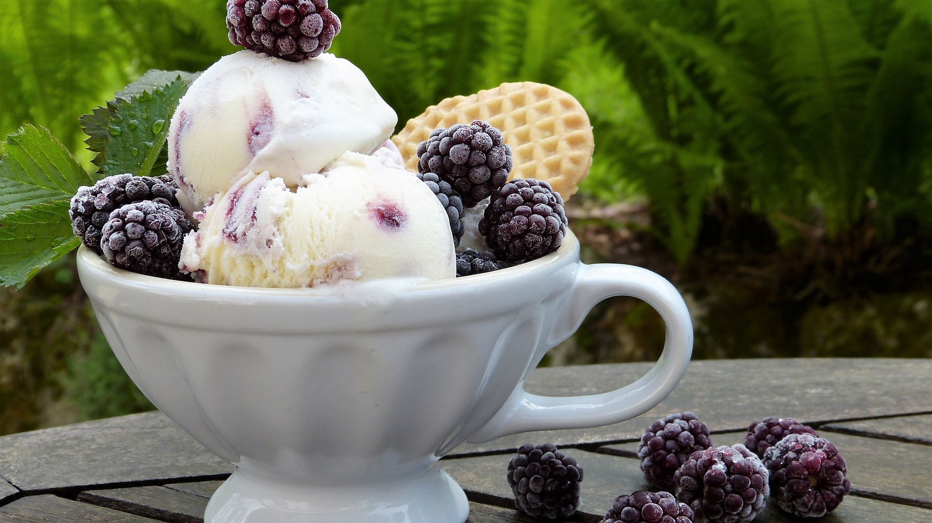 Ice Cream and Blackberries